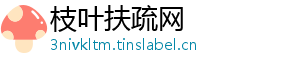 枝叶扶疏网